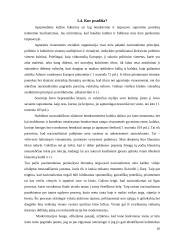 Nacionalizmo samprata 10 puslapis