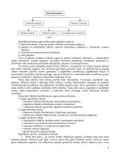 Vidutinio Lietuvos namų ūkio pajamos ir išlaidos 4 puslapis