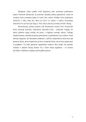 Napoleonas kaip politikas 8 puslapis