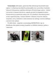 Nariuotakojų rūšys 3 puslapis