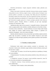 Narkomanijos plitimo problema ugdymo institucijose 7 puslapis