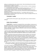 Narkomanija ir narkotikai 2 puslapis