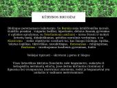 Kristijonas Donelaitis, Johanas Volfgangas Gėtė  4 puslapis