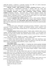 V. Kudirkos asmenybės ir kūrybos svarba 2 puslapis