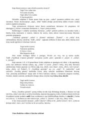 V. Kudirkos asmenybės ir kūrybos svarba 5 puslapis