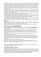 Literatūros kurso kūrinių aprašymai 3 puslapis