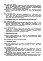 Kūrinių santraukos ir pagrindinės temos 4 puslapis