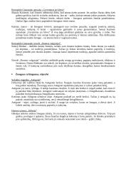 Kūrinių santraukos ir pagrindinės temos 5 puslapis