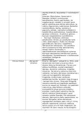 Privalomųjų autorių kūrinių santraukos 17 puslapis
