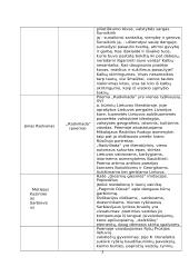 Privalomųjų autorių kūrinių santraukos 3 puslapis