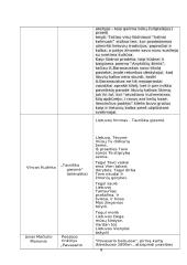 Privalomųjų autorių kūrinių santraukos 9 puslapis