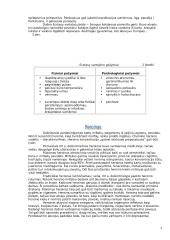 Narkotinės medžiagos (referatas) 3 puslapis