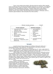 Narkotinės medžiagos (referatas) 4 puslapis