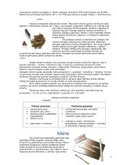 Narkotinės medžiagos (referatas) 5 puslapis