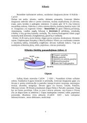Naudingos iškasenos 6 puslapis