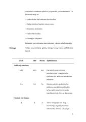 Reitingas: esmė, pagrindiniai bruožai, reitingo agentūros 3 puslapis