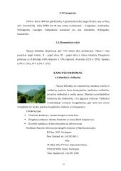 Naujoji Zelandija 13 puslapis