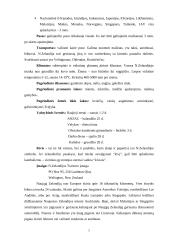 Naujoji Zelandija 4 puslapis