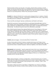 Graikų mitų analizavimas 3 puslapis