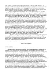 Granausko novelės "Su peteliške ant lūpų" aprašymas 3 puslapis