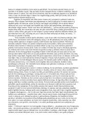 Granausko novelės "Su peteliške ant lūpų" aprašymas 4 puslapis