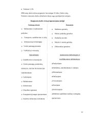 Ekonomika ir nedarbas 15 puslapis