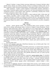 Konspektas - lietuvių autoriai 2 puslapis