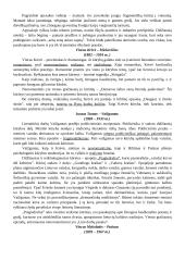 Konspektas - lietuvių autoriai 4 puslapis