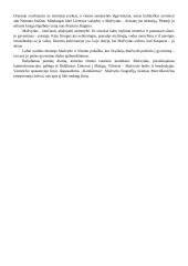 Konspektas - lietuvių autoriai 10 puslapis