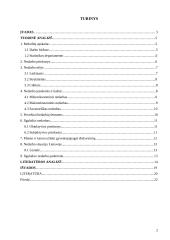 Nedarbas Lietuvos ekonomikoje 2 puslapis