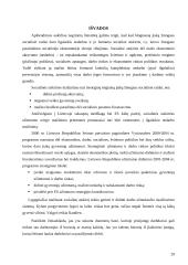 Nedarbas Lietuvos ekonomikoje 20 puslapis