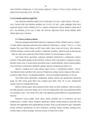 Nedarbas. Nedarbo esmė ir problemos 18 puslapis