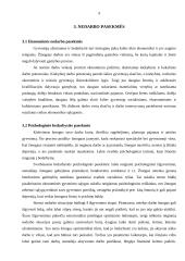 Nedarbas. Nedarbo esmė ir problemos 9 puslapis