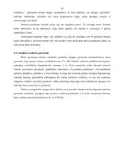 Nedarbas. Nedarbo esmė ir problemos 10 puslapis