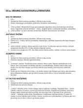 Autorių kontekstai (literatūros programos) 6 puslapis