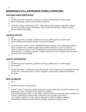 Autorių kontekstai (literatūros programos) 7 puslapis