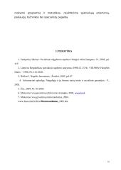 Neįgalumas ir neįgaliųjų integracija 10 puslapis