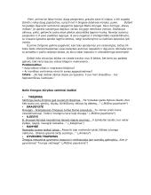 B. Sruogos analizė 4 puslapis