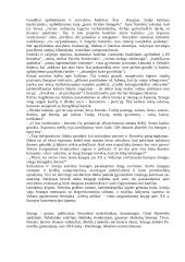 B. Sruoga "Dievų miškas" konspektas 11 puslapis