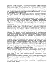 B. Sruoga "Dievų miškas" konspektas 4 puslapis