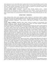 Konspektas - privalomi autoriai (geras) 11 puslapis