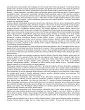 Konspektas - privalomi autoriai (geras) 14 puslapis