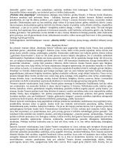 Konspektas - privalomi autoriai (geras) 16 puslapis