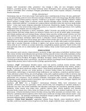 Konspektas - privalomi autoriai (geras) 18 puslapis