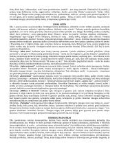 Konspektas - privalomi autoriai (geras) 20 puslapis