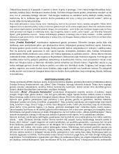 Konspektas - privalomi autoriai (geras) 4 puslapis