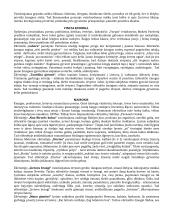 Konspektas - privalomi autoriai (geras) 8 puslapis