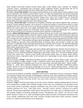 Konspektas - privalomi autoriai (geras) 9 puslapis