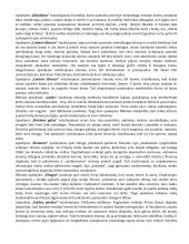 Konspektas - privalomi autoriai (geras) 10 puslapis