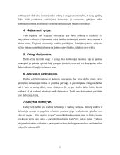 Nematerialus skatinimas 6 puslapis